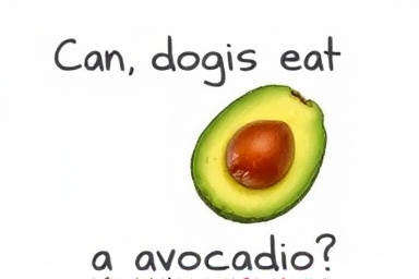 Can dogs eat avocado