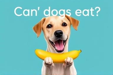 Can dogs eat banana