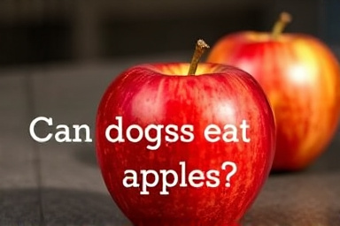 Can dogs eat apples