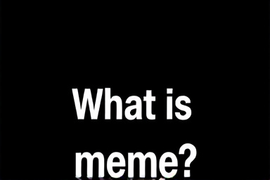 What is a meme