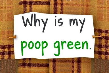 Why is my poop green